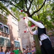 phoca_thumb_l_2011_namur_mai_0072