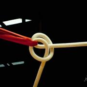 phoca_thumb_l_activites2010_06