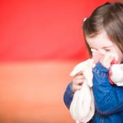 phoca_thumb_l_b_28mai_0017