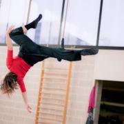 phoca_thumb_l_we_trapeze_tissu_55